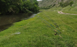 Zeci de pescari au rămas fără plase după ce au pescuit ilegal