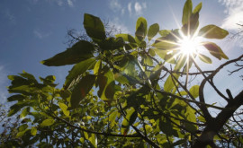 Prognoza meteo pentru 4 iunie