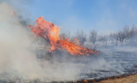 Amenzi dure pentru incendierea intenționată a terenurilor agricole