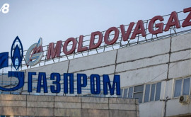 Спыну рассказал о судьбе аудита долга Moldovagaz 