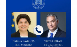 Gavrilița a avut un dialog telefonic cu premierul Ungariei Victor Orban