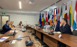 Вклад Молдовы в региональную безопасность был обсужден с депутатами Европарламента