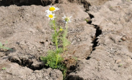 Arheologii au descoperit în Iran sisteme antice antisecetă