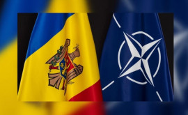 НАТО усилит поддержку Молдовы Грузии и других партнеров альянса