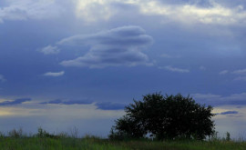 Prognoza meteo pentru 7 august