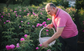 A pus pe roate o afacere cu plante medicinale cu ajutorul unui grant