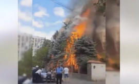 Incendiu de vegetație în capitală