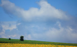 Prognoza meteo pentru 27 iulie