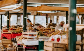 В выходные в Кишиневе будет организовано несколько ярмарок местной продукции