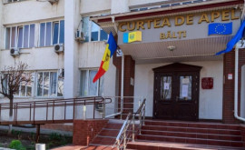 277 de dosare per mantie În anul acesta judecătorii Curții de Apel Bălți au avut mai mult de lucru 