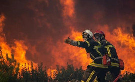 Во Франции изза новой волны жары возобновляются лесные пожары