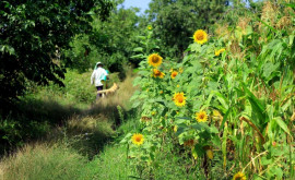 Prognoza meteo pentru 12 august