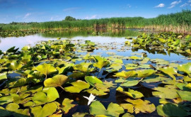 Drumul de acces spre Lacul Beleu va fi reconstruit