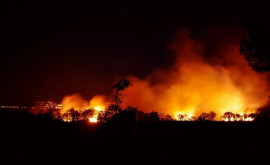 O cantitate record de pădure a ars din cauza căldurii anormale în Europa în acest an