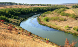 Un tînăr oprit după ce a încercat să intre ilegal în România