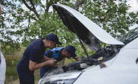 Mai multe automobile confiscate în urma unei operațiuni comune FRONTEX Poliția de Frontieră