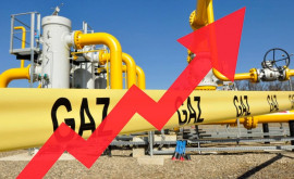Prețurile gazelor în Europa au crescut cu 35