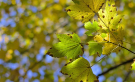 Prognoza meteo pentru 13 septembrie