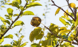 Prognoza meteo pentru 14 septembrie