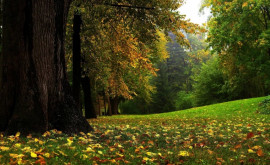 Prognoza meteo pentru 19 septembrie