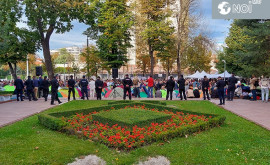 Антиобщественное поведение протестующих в палатках в поле зрения полиции