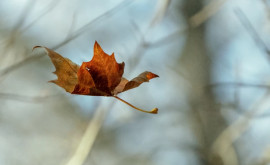 Prognoza meteo pentru 27 septembrie