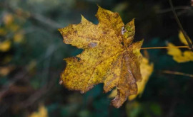 Prognoza meteo pentru 5 octombrie