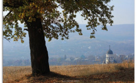 Prognoza meteo pentru 9 octombrie