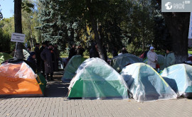 Депутат ПДС Пока не будет доказано что протестующим платят мы не можем запретить протесты