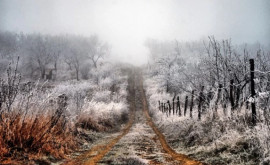 Meteorologii au emis cod galben de înghețuri în toată țara