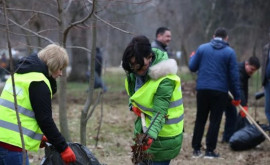 În capitală va fi organizată a amplă acțiune de salubrizare