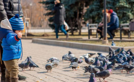 Как следует одевать детей в осенний период Рекомендации педиатра