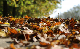 Prognoza meteo pentru 27 octombrie