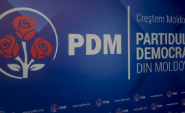 Partidul Democrat își alege un nou președinte