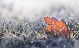 Prognoza meteo pentru 8 noiembrie