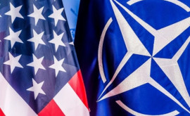 США и НАТО допускают начало мирных переговоров по Украине названо условие