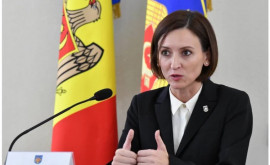 Veronica Dragalin sa referit la cazul interceptării corespondenței lui Litvinenco