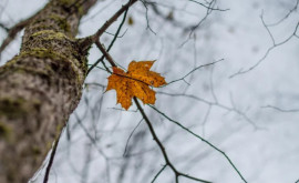 Prognoza meteo pentru 15 noiembrie