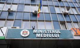 Infracțiunile din domeniul mediului vor fi investigate mai eficient