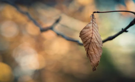 Prognoza meteo pentru 16 noiembrie