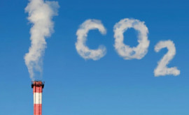 Ученые зафиксировали рост выбросов углекислого газа по всему миру