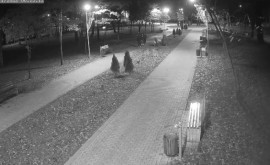 Vandalism în Parcul Alunelul Mai mulți tineri au răsturnat tomberoanele și au tras de arbuști 