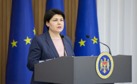 Natalia Gavrilița cere ajutor Lituaniei pentru a trece de criza energetică