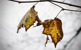 Prognoza meteo pentru 30 noiembrie