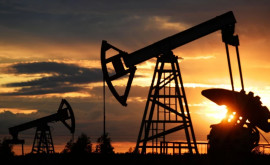 Prețul petrolului crește după o scădere record
