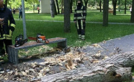 Tragedia din parcul Alunelul La ce etapă se află ancheta