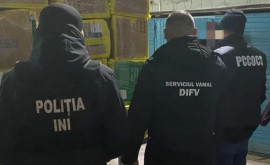 Cea mai mare captură de heroină din istoria Moldovei a fost supusă nimicirii