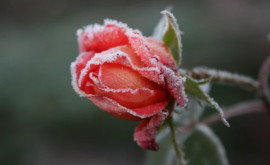 Prognoza meteo pentru 23 decembrie