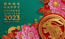 Anul 2023 în Zodiacul Chinezesc Ce ne transmit astrologii pentru Anul Iepurelui de Apă