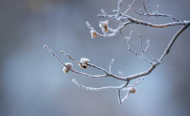 Prognoza meteo 28 decembrie